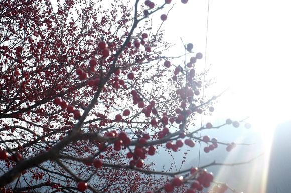 514.jpg> <!--