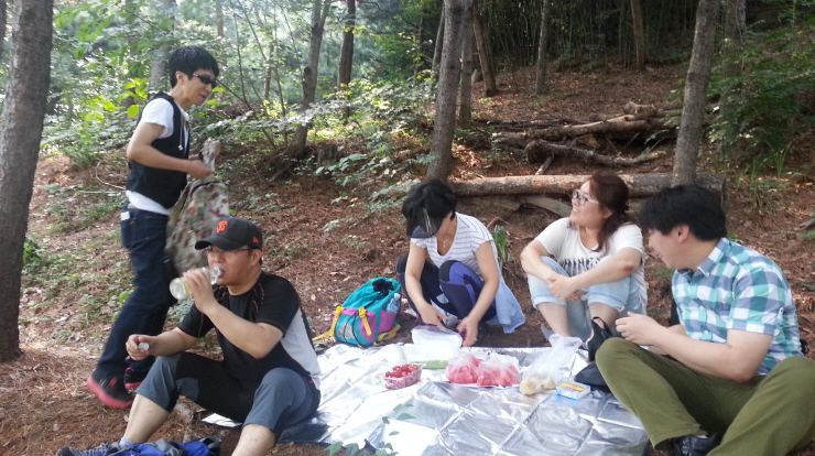 596.jpg> <!--