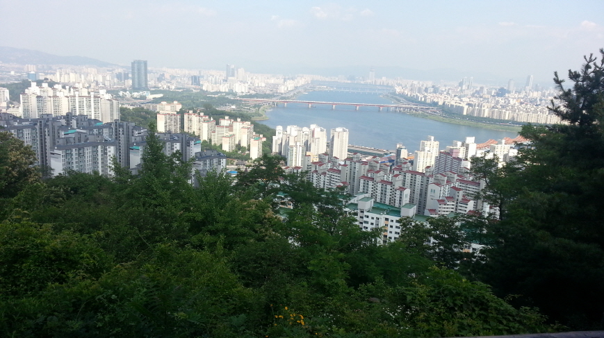 597.jpg> <!--