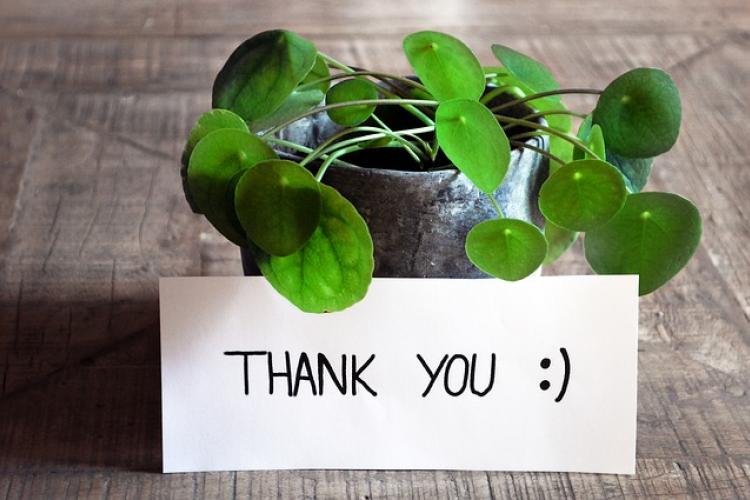 thank-you-3690116_640_0.jpg